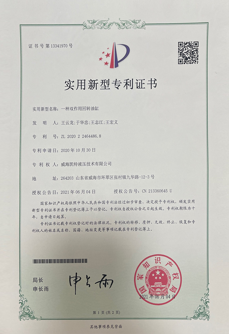 一种双作用回转油缸-实用新型专利